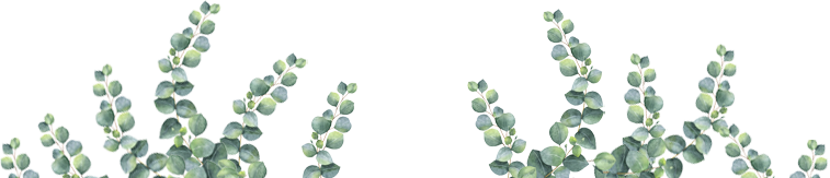 Eucalyptus_banner_below_location_757_163_V01